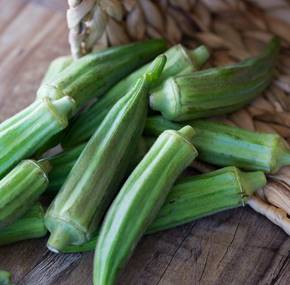 ABELMOSCHUS ESCULENTUS (OKRA - GOMBO)