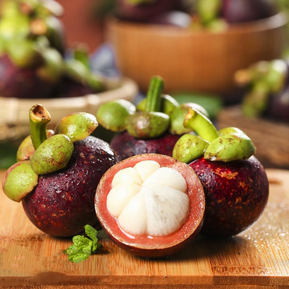 GARCINIA MANGOSTANA (MANGOSTANO)
