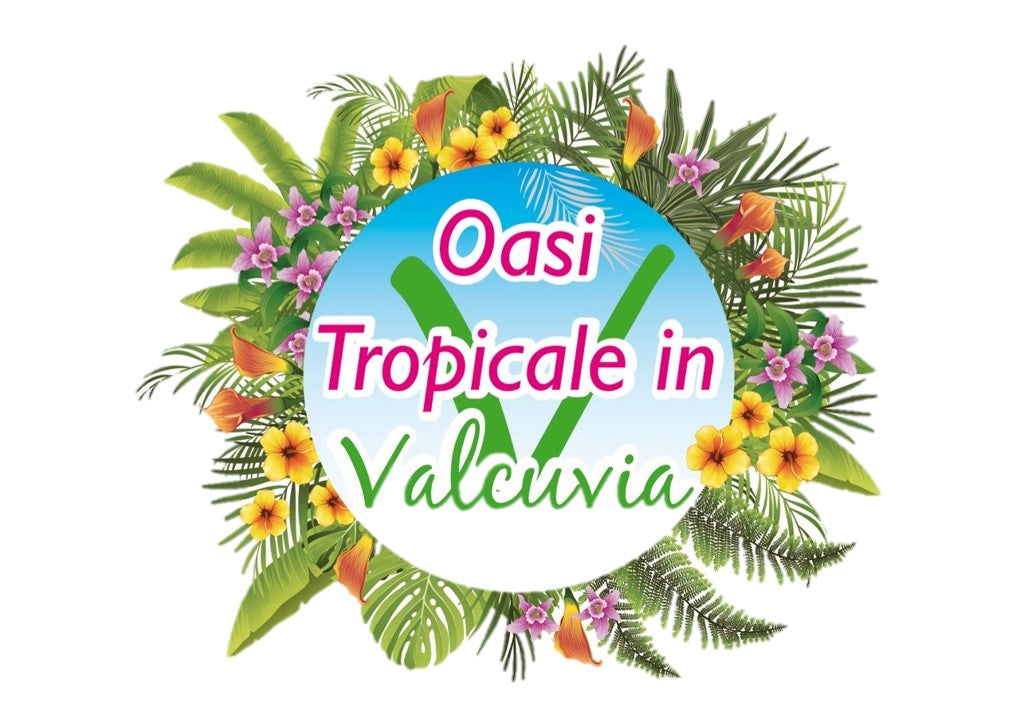BUONO REGALO