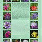 FARBATLAS PASSIONSBLUMEN (ATLANTE PASSIFLORE)