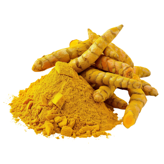 CURCUMA LONGA (CURCUMA)