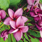 PLUMERIA RUBRA PURPLE JACK