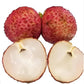 LITCHI CHINENSIS (LICHI) VAR. SEEDLESS (SENZA SEMI)