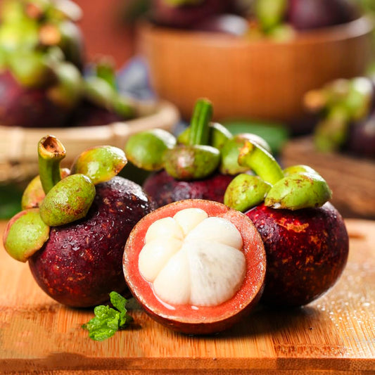 GARCINIA MANGOSTANA (MANGOSTANO)