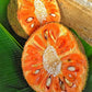 ARTOCARPUS HETEROPHYLLUS ORANGE FRUIT (JACKFRUIT)