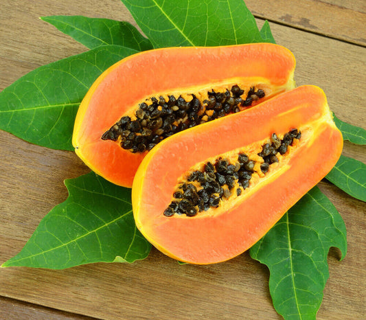 CARICA PAPAYA VAR. TAINUNG (PAPAYA)