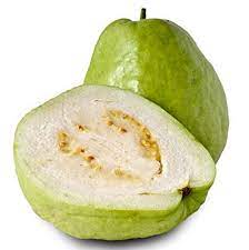 PSDIUM GUAJAVA (GUAVA) VAR. GIGANTE BANKGOK